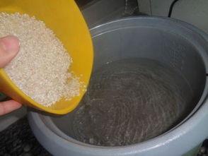 煮稀饭视频,视频教你轻松掌握烹饪技巧