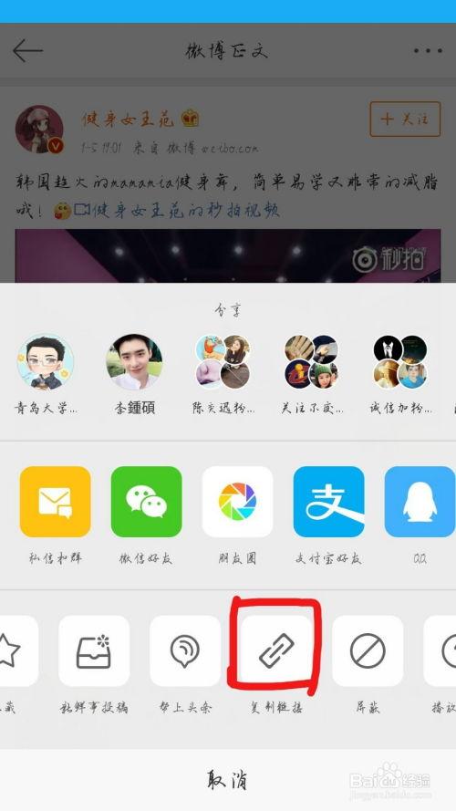 微博里的视频如何下载,揭秘[视频主题]背后的精彩瞬间