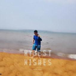 李东岳视频,揭秘成功背后的秘密