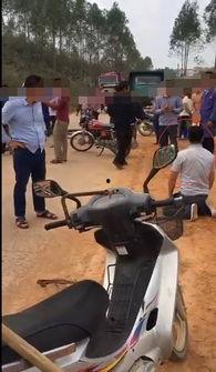 偷狗贼被打的下场视频,现场视频曝光引众怒