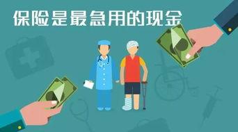 做保险视频,视频带你领略保险魅力与智慧