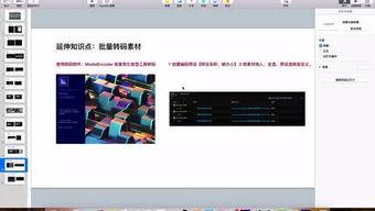 学点视频,探索知识海洋的便捷导航