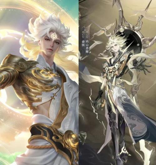 王者荣耀阴阳师视频,揭秘神秘法术与英雄对决