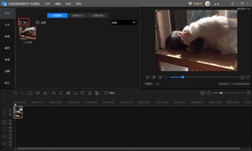 视频怎么截图,一图掌握精彩瞬间
