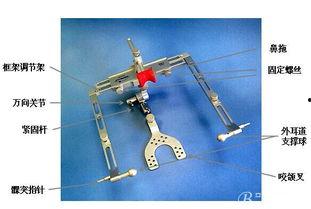 面弓转移视频,揭秘面部表情传递的艺术