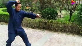 孙氏形意拳教学视频,传承经典，揭秘内家拳奥秘